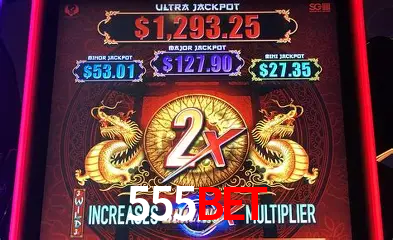 Desvendando o Mundo dos Jogos Virtuais na 555bet
